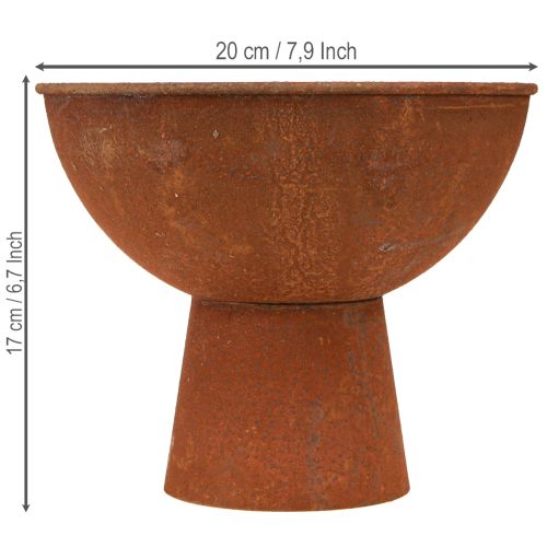 Product Decorative bowl with foot trophy bowl rust metal Ø20.5cm 2pcs