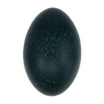 category Eggs & easter eggs