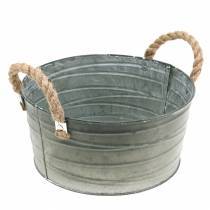 category Buckets and bowls
