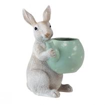 Product Decorative rabbit with teapot decorative figure table decoration Easter H22,5cm