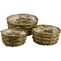 Basket plant basket braided green 30×24/26×20/22×15cm set of 3