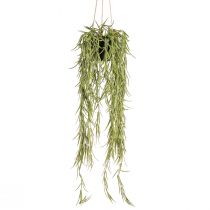 Product Artificial succulent hanging plant in black pot 60 cm - Durable interior decoration