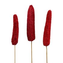 Product Corn cobs on a stick Red 20pcs