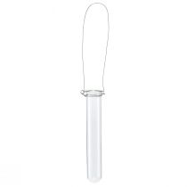 Product Test tube decorative glass for hanging mini vase Ø2.4cm H22.5cm