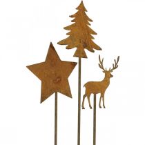 Product Garden stake patina deer deco star fir H9.5/10.5cm 9pcs