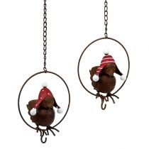 Product Bird in a ring as a food hanger Ø12.5cm L45cm 2pcs