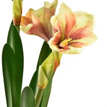 Product Amaryllis in moss ball artificial with pink-yellow patterned flowers – 45 cm – Exotic and stylish decoration