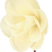 Product Decorative Roses Cream Artificial Roses made of wood Ø7cm 12 pcs
