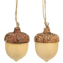 Product Acorn for hanging decoration autumn natural/brown 5.3x3.5cm 12 pieces