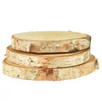 Wooden discs decoration birch tree discs Ø15-18cm 3 pcs