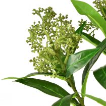 Product Artificial Flowers Green Skimmia japonica Skimmie 45cm 2pcs