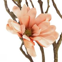 Product Magnolia branch with 6 flowers Magnolia artificial salmon 84cm