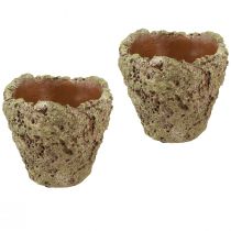 Plant pot rustic forest look planter Ø12.5cm H12cm 6pcs