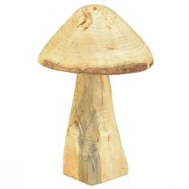 Product Natural decorative mushroom made of elm wood – Rustic design, 27 cm – Charming garden decoration