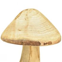 Product Natural decorative mushroom made of elm wood – Rustic design, 27 cm – Charming garden decoration