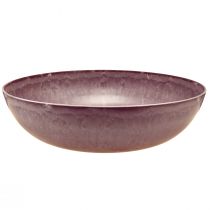 Elegant purple plastic bowl 37x10.5 cm – Versatile for decoration – 3pcs