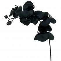 Product Orchid to decorate Black 54cm