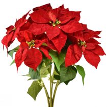 Product Poinsettia Artificial Christmas Star Red Green L57cm
