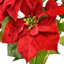 Product Poinsettia Artificial Christmas Star Red Green L57cm