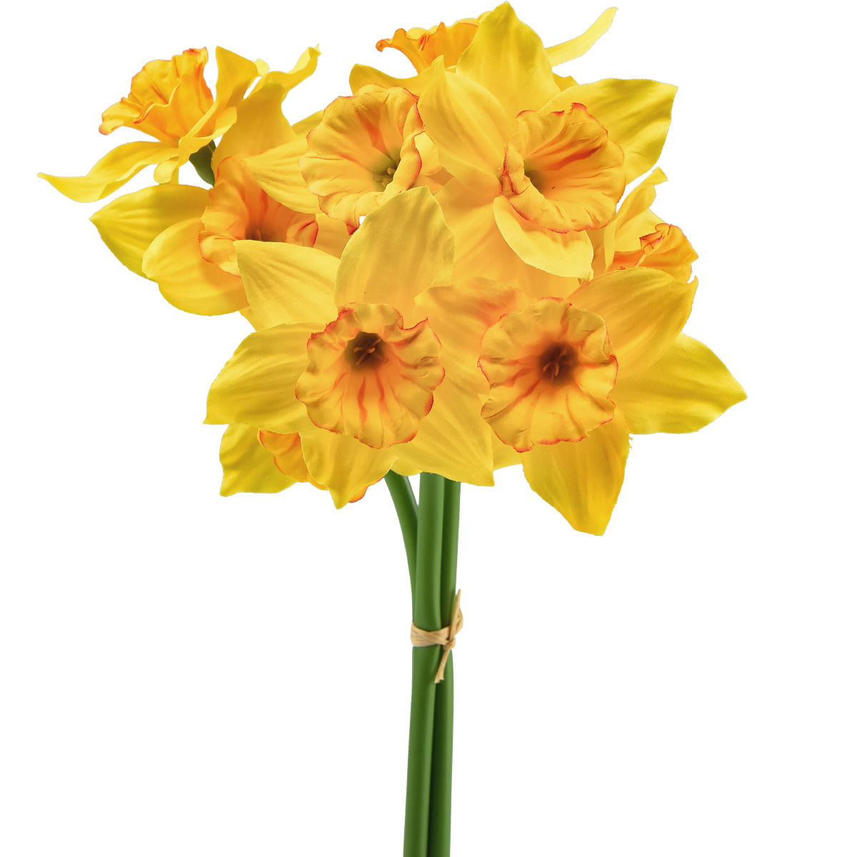 DAFFODIL CORD-SET