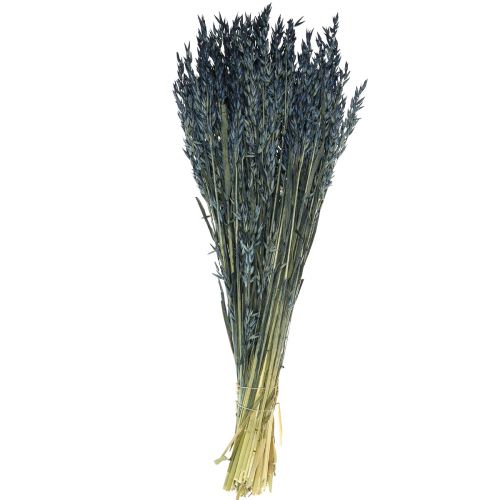 Product Dried flowers, oats dried grain decoration blue 68cm 230g