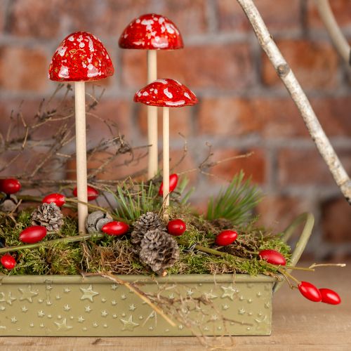 Product Fly agarics on a stick, red, 4cm, set of 6 - decorative garden mushrooms for autumn decoration