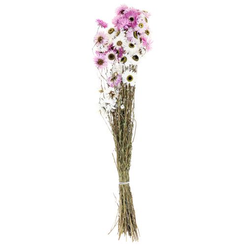 Product Dried Flowers White Pink Straw Flowers 40-45cm 30g