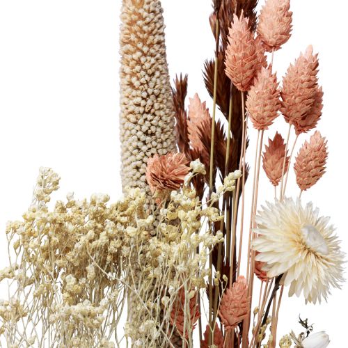 Floristik24 Dried flower bouquet straw flowers Phalaris orange 55cm