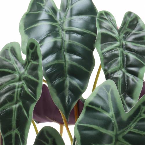 Product Alocasia arrow leaf green, violet artificial plant H48cm