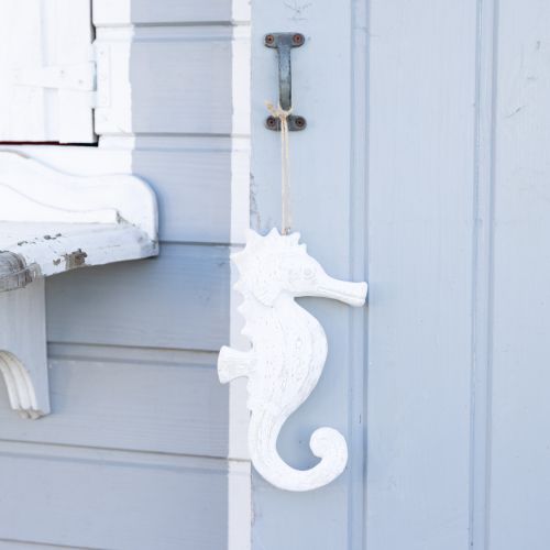 Product Pendant seahorse decoration white, maritime decoration H23cm