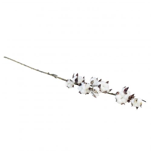 Product Cotton branch cotton flowers artificial brown white L95cm