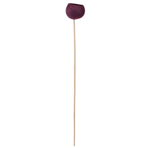 Product Bell Cup on a Stick Dry Decoration Funeral Floristry Wine Red 15 Pcs