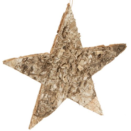 Floristik24 Birch stars for hanging decorative stars birch bark 20cm 4 pcs