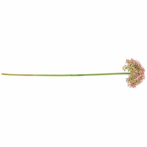 Product Artificial Allium Pink 55cm