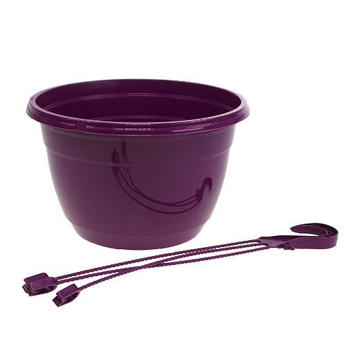 Product Hanging basket 25cm purple