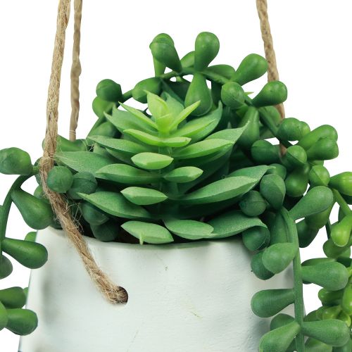 Product Hanging baskets succulents artificial green assorted 18cm 3pcs