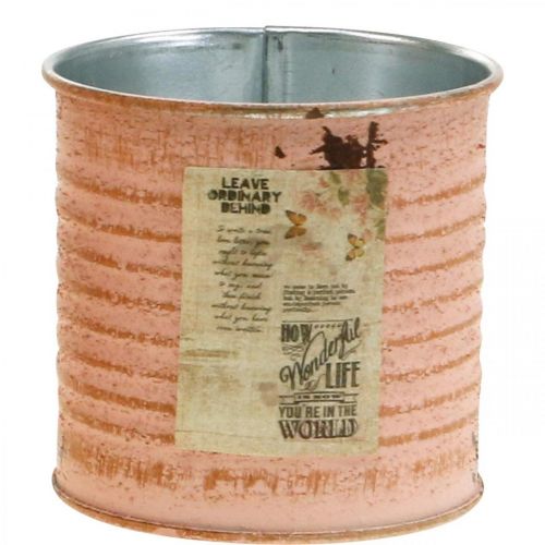 Product Flower pot decorative tin salmon metal herb tin Ø8cm H7.5cm