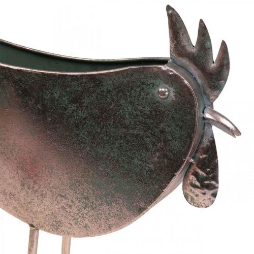 Product Flower Pot Chicken Metal Bird Metallic Rosé 51×16×37cm