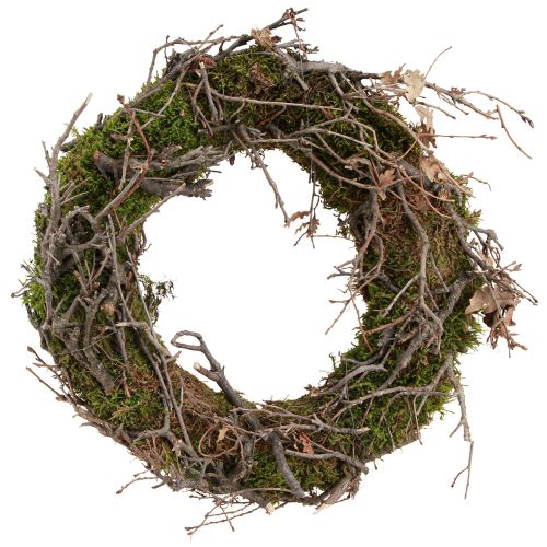 Floristik24 Decorative wreath moss wreath with bonsai branches natural Ø30cm