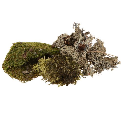 Decorative moss for crafts mix green, light green natural moss 75g