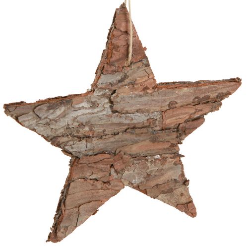 Floristik24 Decorative stars for hanging pine pine stars natural 15cm 4 pcs