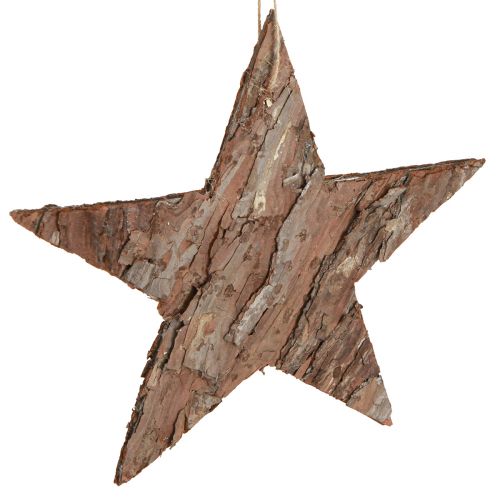 Floristik24 Decorative stars for hanging made of pine bark Pine stars 20cm 3 pcs