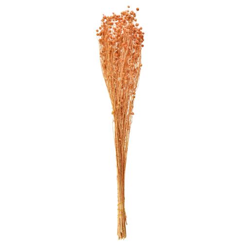 Product Deco Flax Dried Dried Flowers Apricot Natural 80g