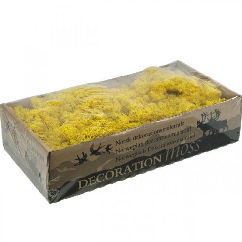 Product Deco moss yellow reindeer moss for handicrafts lemon yellow 500g