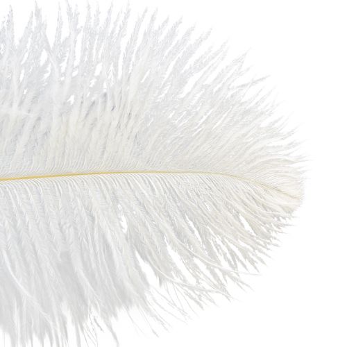 Product Decorative Ostrich Feathers Real Feathers White 38-40cm 2 Pcs