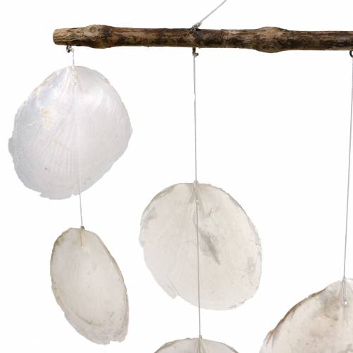 Product Maritime deco hanger shell wind chime on driftwood branch L65cm