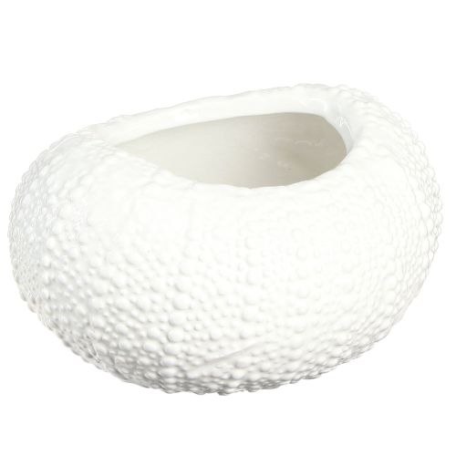 Decorative Bowl Ceramic Maritime Oval in White 19x15x8.5cm