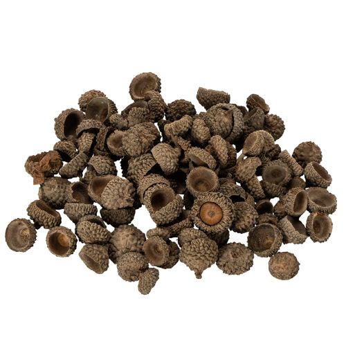 Product Natural Acorn Caps for Autumn and Advent Decorations 2cm 300g