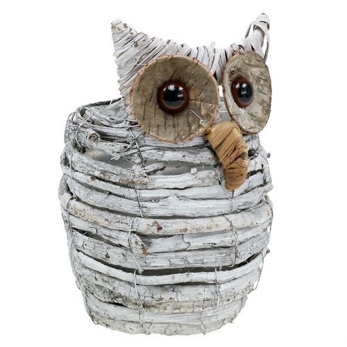 Floristik24 Owl for planting White 23cm