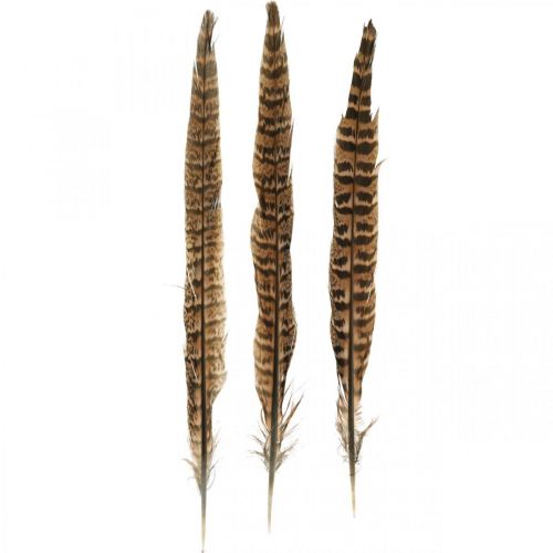 Pheasant feathers real feathers for crafting